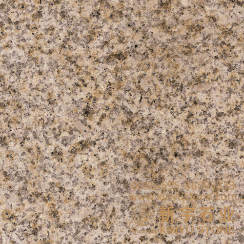 Shandong Rust
